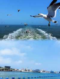 《 山東「小馬爾代夫」！海驢島2天1夜神仙玩法（附拍照機位