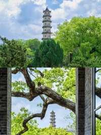 反向旅遊成功這才是溫州的正確打開方式