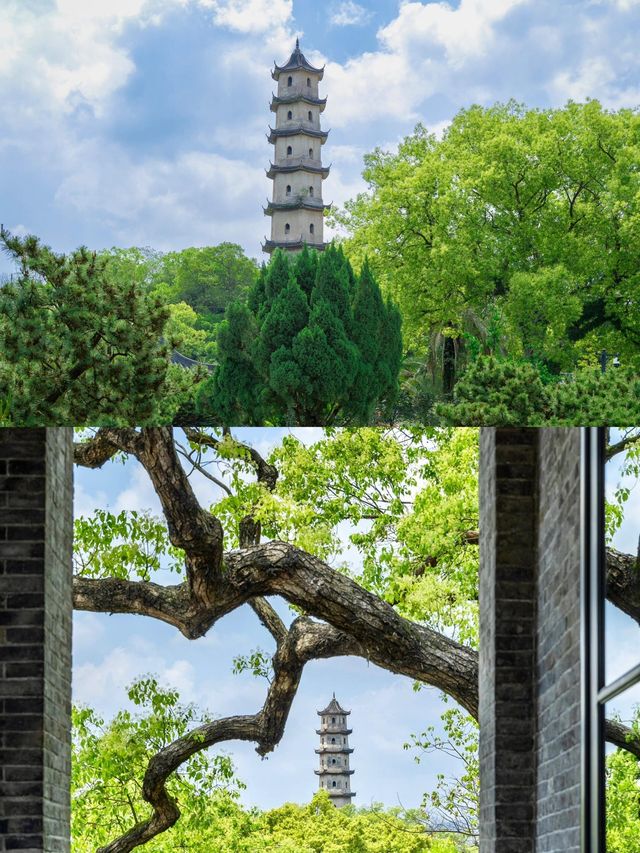反向旅遊成功這才是溫州的正確打開方式