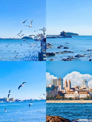Qingdao: Not recommended from May to July