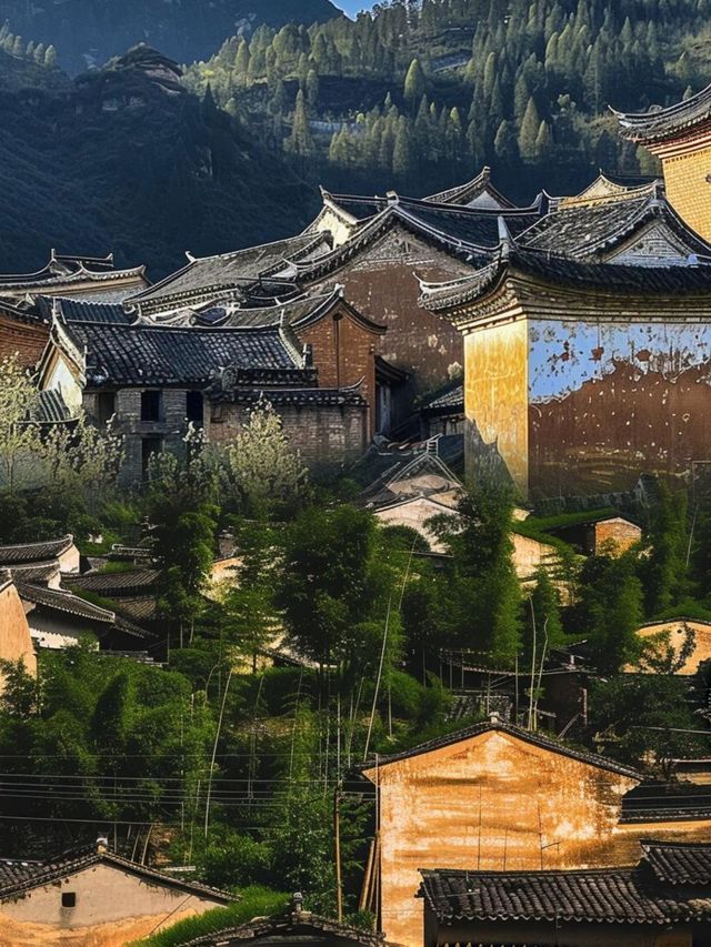 衝上熱搜！松陽古村，這樣玩才超爽！