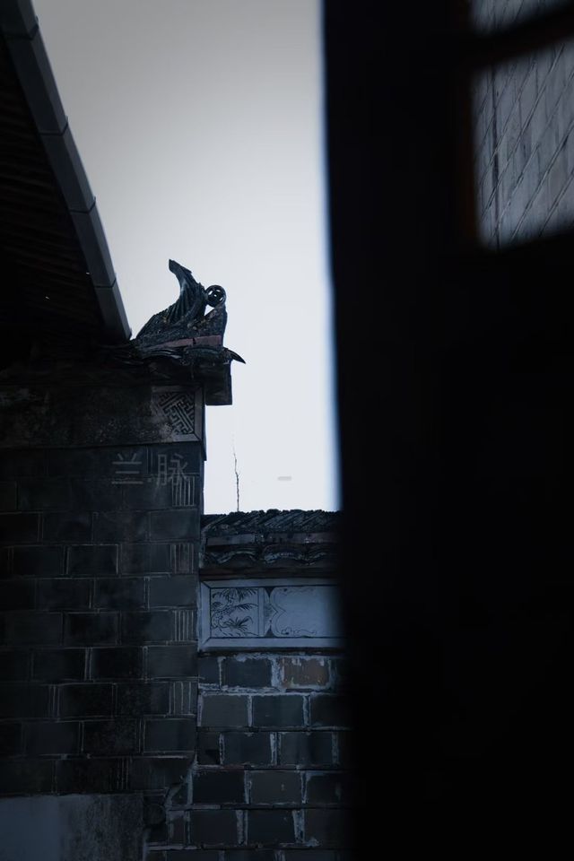 武夷山禪寺發呆實錄｜都市人的神仙充電站啊