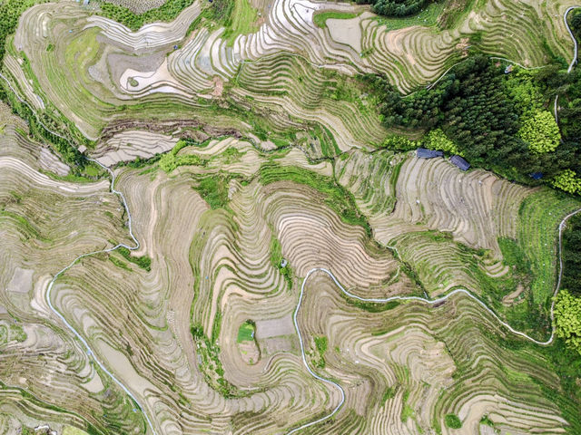 Guilin 4 Days Itinerary