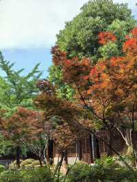 千年傳承白鷺洲書院