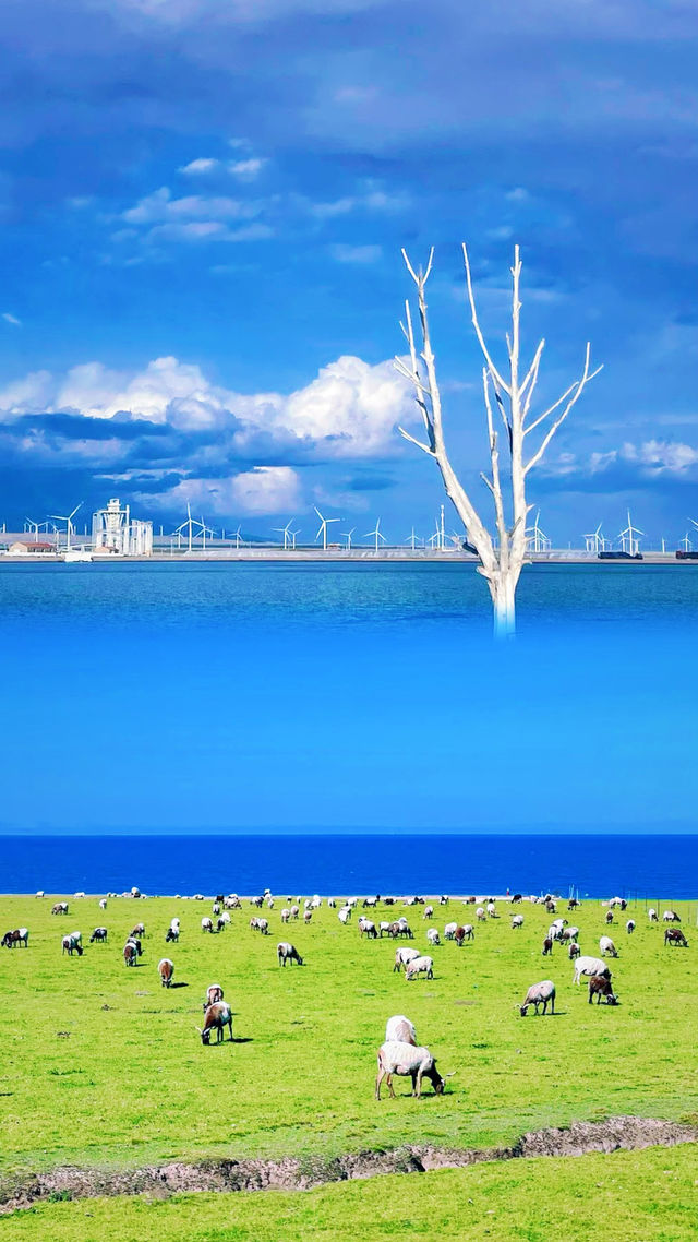 青海湖大自然的傑作 