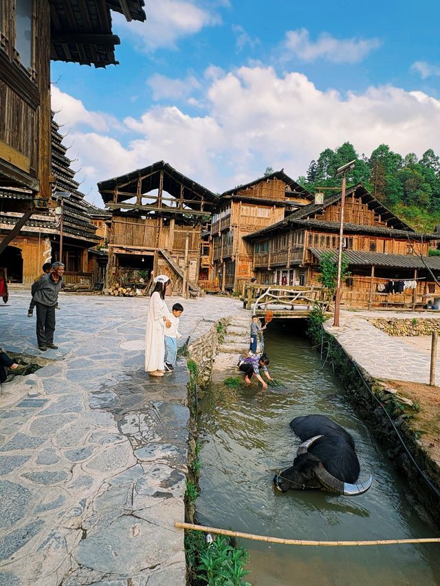 黃岡≠試卷！貴州隱世侗寨美到封神