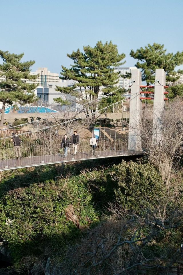 濟州島 承包果凍海的夏天！免簽玩到爽攻略