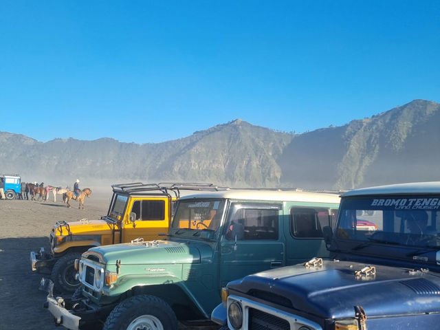 Don’t ride horses at mount Bromo !!! 