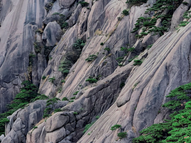 去一次黃山嘅成本太高啦