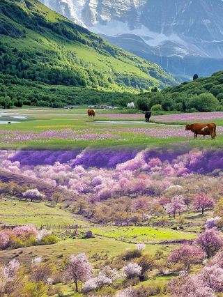 Promise me, you must never give up on visiting Xinjiang in this lifetime