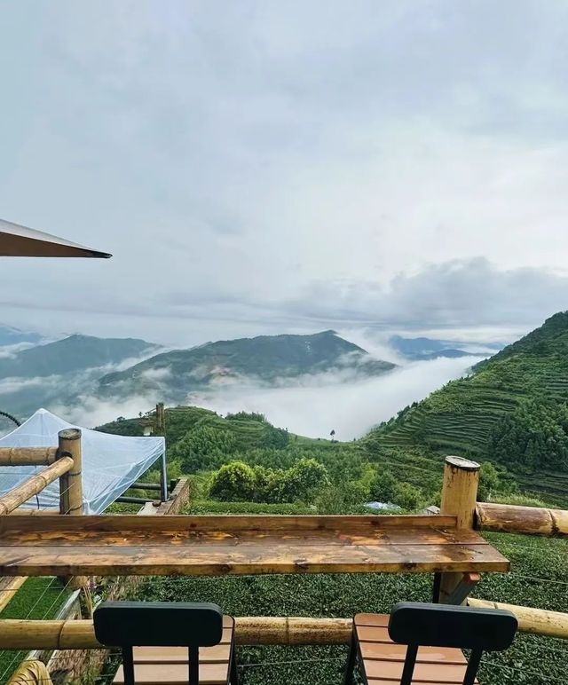 探索廈門白交祠 | 雲端山村的詩意慢生活