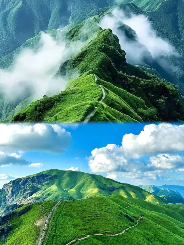同閨蜜喺武功山遇上宮崎駿嘅夏天