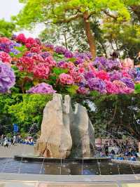 「廣東小華山」兩日一夜旅遊攻略