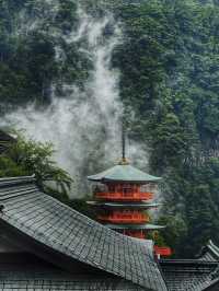 熊野古道｜遇見神明散步嘅森林