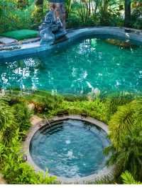 躲入廣州森林海，享受25度嘅夏天