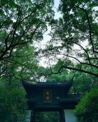 杭州·虎跑公園 西湖邊嘅綠野仙蹤吸氧秘境