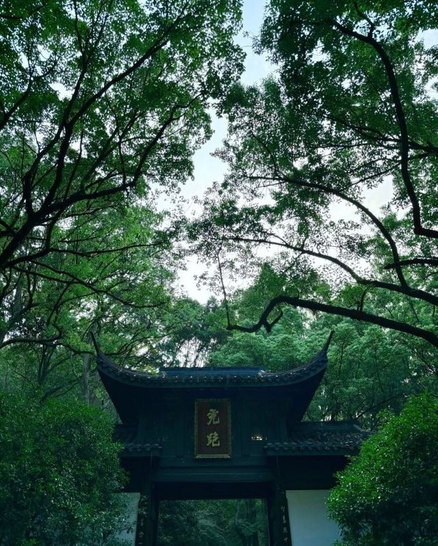 杭州·虎跑公園 西湖邊嘅綠野仙蹤吸氧秘境