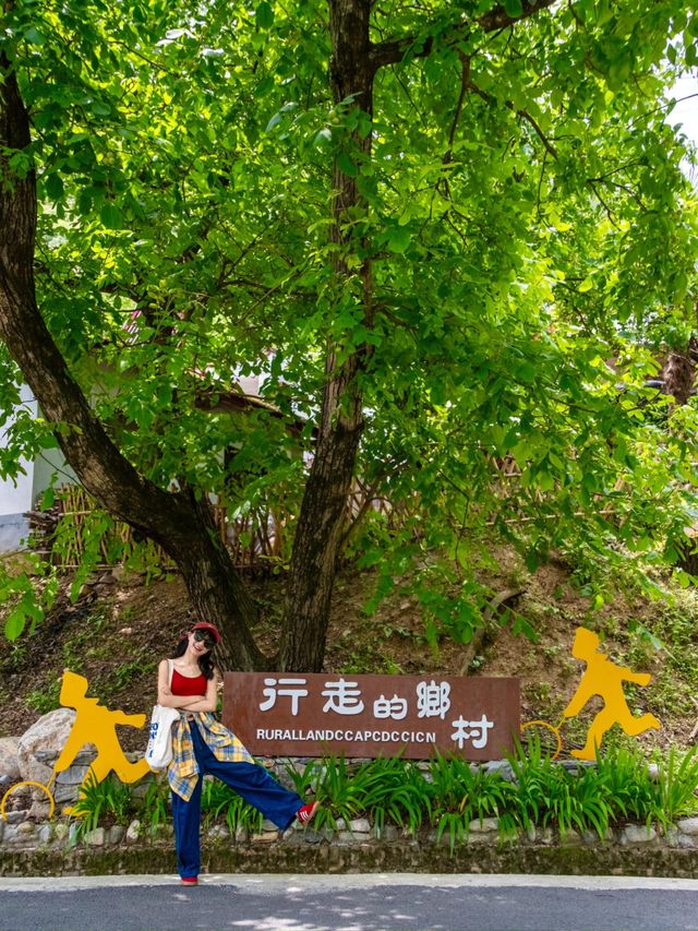 22℃嘅夏天！秦嶺留壩令青城山「輸到貼地」