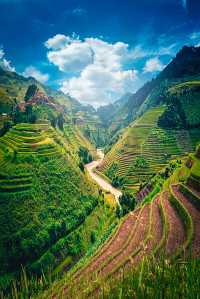 Discover Bali’s Top 5 Rice Terrace Views! 📷