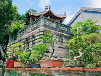 The Ethereal Heartbeat: Immersion in a Fujian Taoist Temple