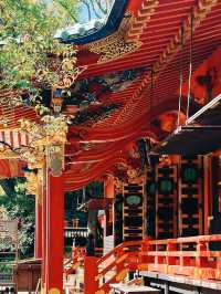 【東京の隠れ家スポット：根津神社で春の杜鵑花に癒されよう】*