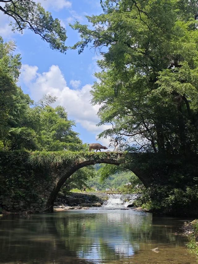 婺源旅行攻略出發前必睇～
