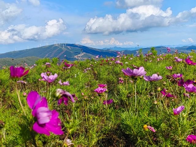 去咗密苑雲頂樂園一趟，終於玩到明晒