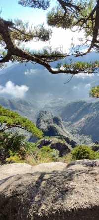 登一登黃山，睇迎客松