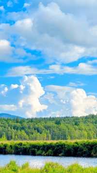 畢業衝！22℃阿爾山，4日躺贏童話森林！