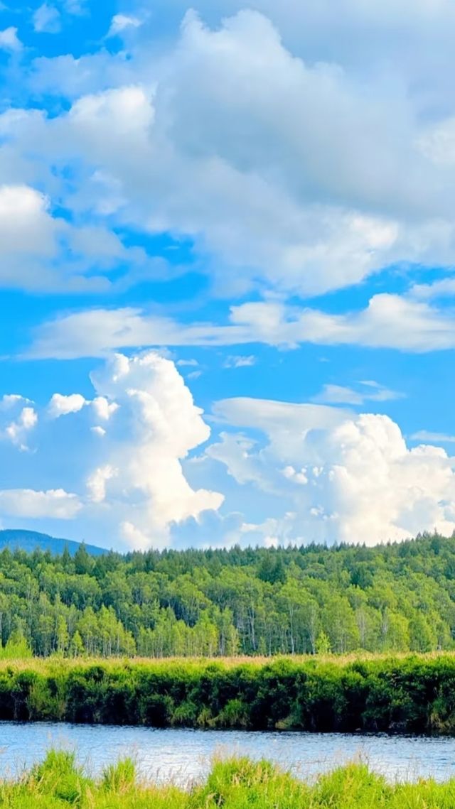 畢業衝！22℃阿爾山，4日躺贏童話森林！
