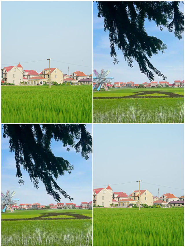 適合江浙滬避暑嘅4個小眾城市！體驗25°C嘅夏天