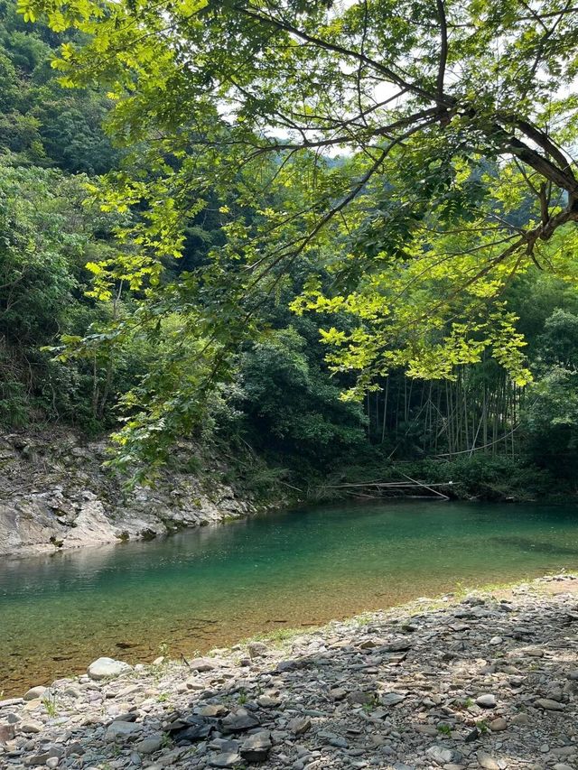 南京媽咪避暑湊仔2小時直達22℃夏天，小朋友玩到拉都唔肯走