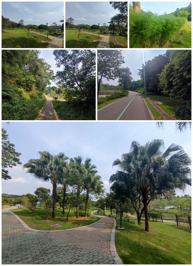 光影之約，解鎖深圳西岸秘境