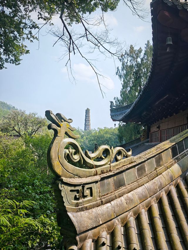 再遇天台山：國清寺祈願與星野避世之旅