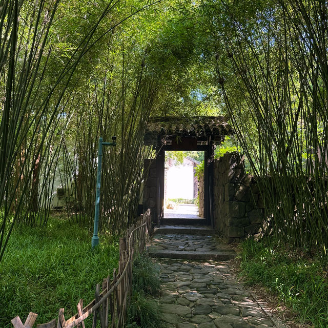 浴鵠灣的夏天，綠到不需要濾鏡