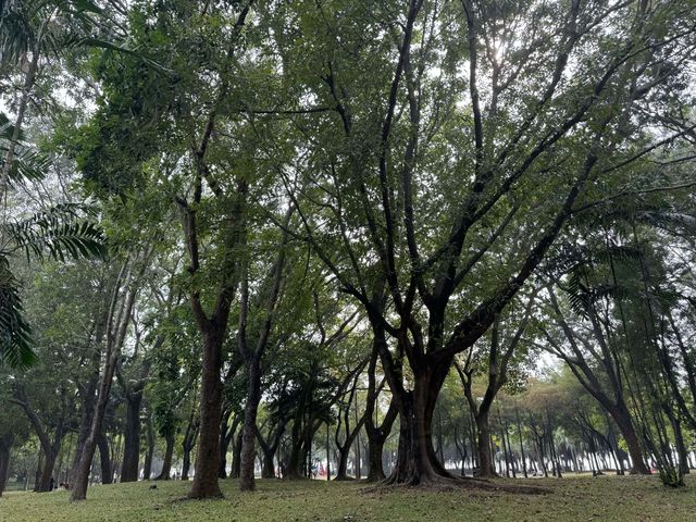 玩轉廣東深圳深圳4條不同風格旅遊線路攻略