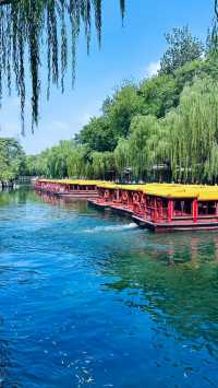 來濟南邂逅一場詩意的旅程吧！這座泉城既有大明湖的溫婉，又有千佛山的壯闊，更藏著讓你驚喜的美食~  