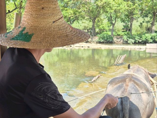 Guilin Surprise