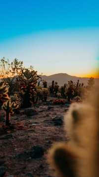 國慶出遊 | 5天穿越美西。