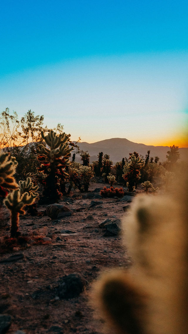 國慶出遊 | 5天穿越美西。