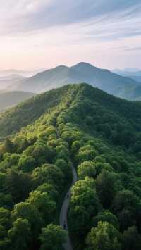 南京不只有歷史的沉重 更有秦淮燈影 薄霧風華與市井溫情