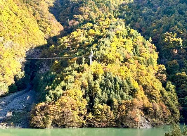 黑水縣奶子溝秋日彩林