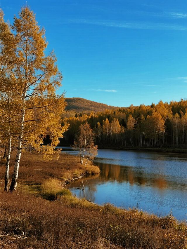 實錘了！阿爾山秋日自駕攻略，一路都是風景，免費觀景台超讚