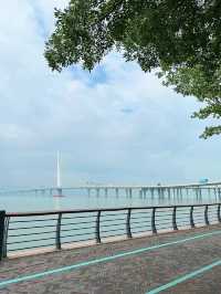 深圳灣必打卡絕美海景