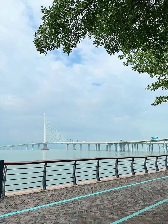 深圳灣必打卡絕美海景