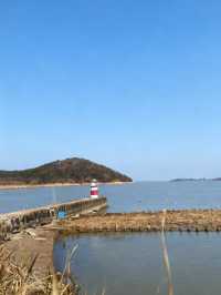 太湖追鷗奇遇記！60元船票解鎖「海陸空」三重浪漫！