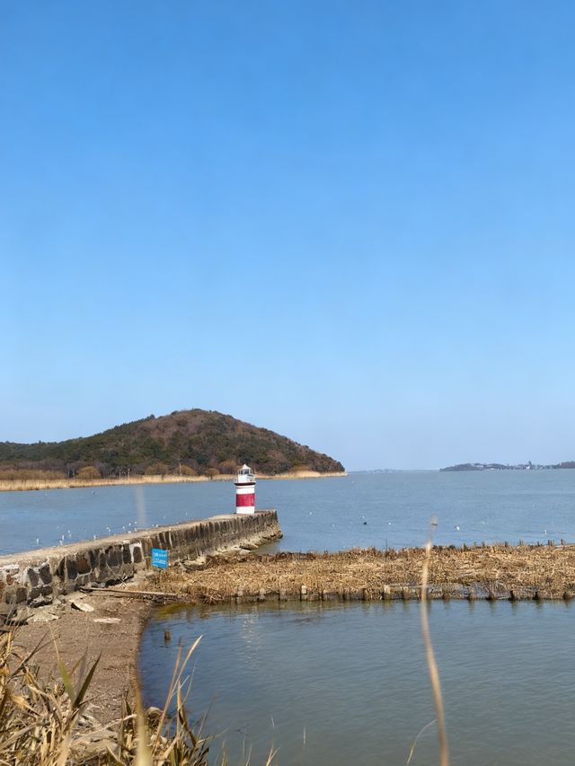 太湖追鷗奇遇記！60元船票解鎖「海陸空」三重浪漫！