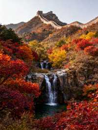 秋日逃離計劃:4大寶藏地+出片秘笈,人均300玩轉絕美秋景