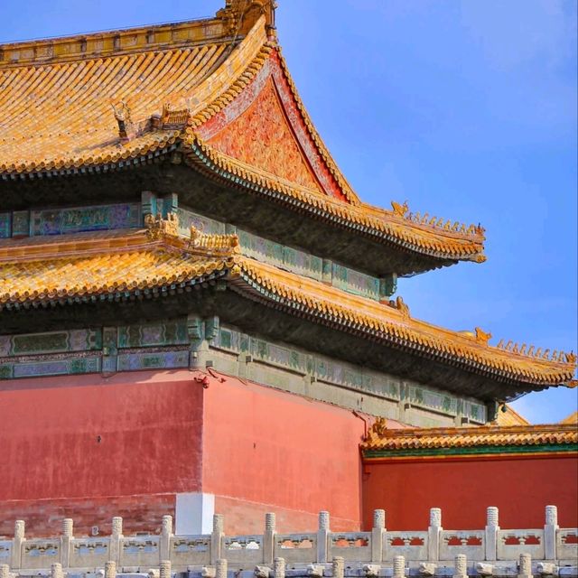 北京故宮完全攻略🏯初訪りでも安心！
