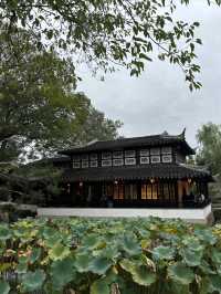 拙政園｜在江南園林裡，邂逅一場詩意漫遊～